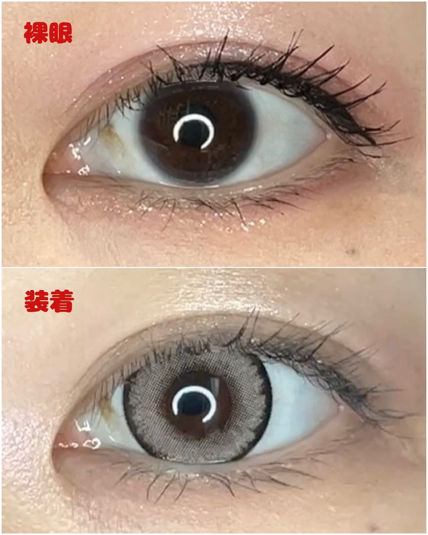 RESAY 1day/RESAY/ワンデー(1DAY)カラコンを使ったクチコミ(4枚目)