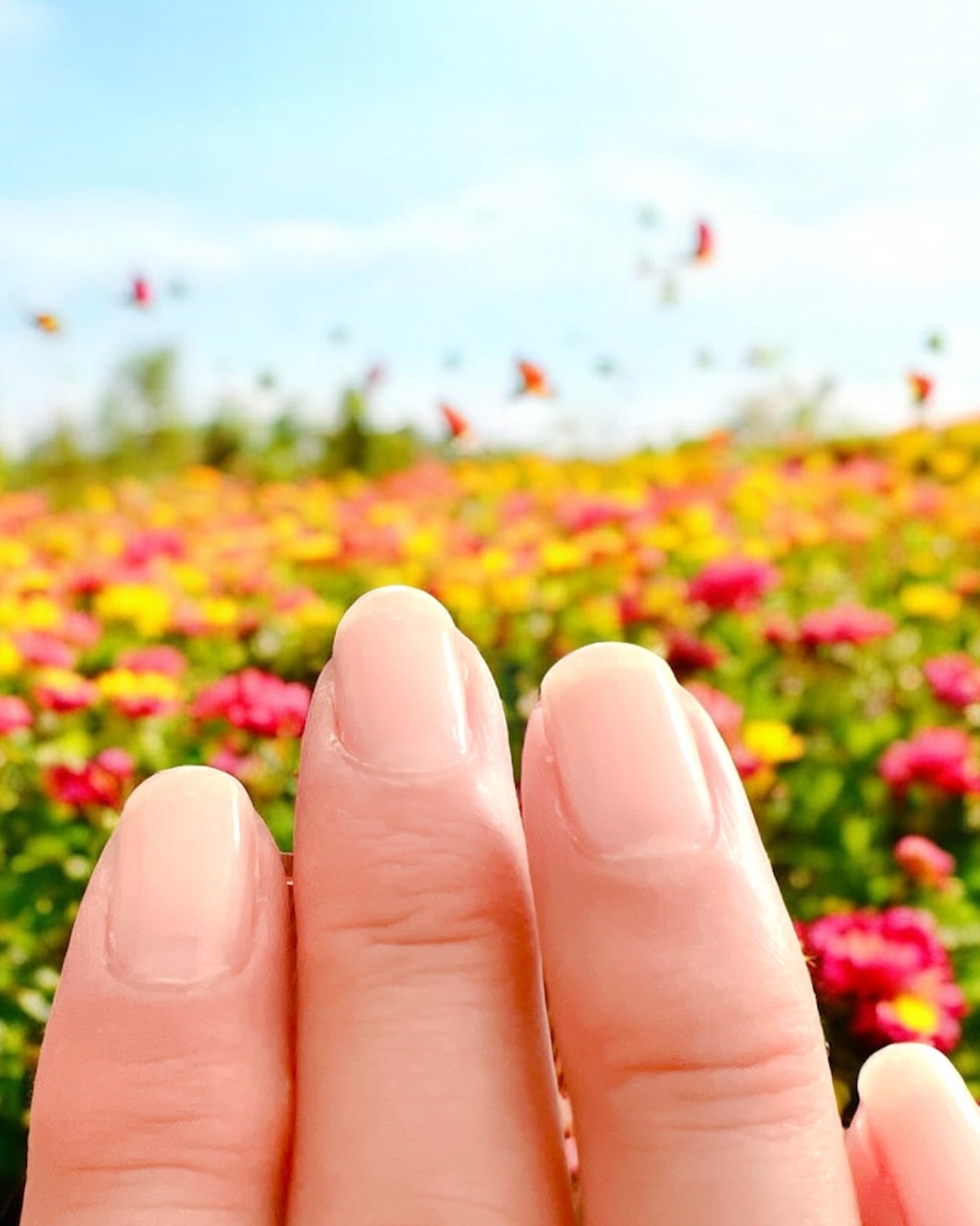 マニキュリスト アクティブシリーズ/manucurist/マニキュアを使ったクチコミ(5枚目)