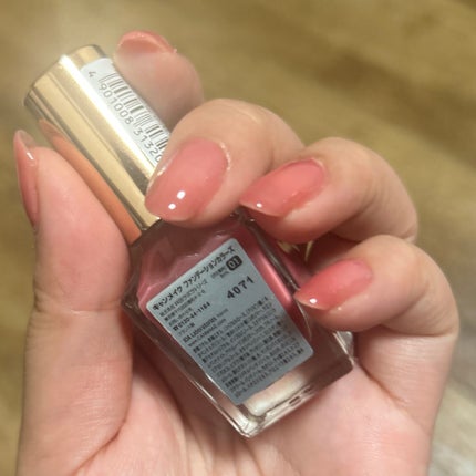 カラフルネイルズ N02 シックボルドー/キャンメイク/マニキュアの画像