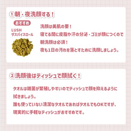 ザ スパイス ロール/ラッシュ/その他洗顔料を使ったクチコミ(3枚目)