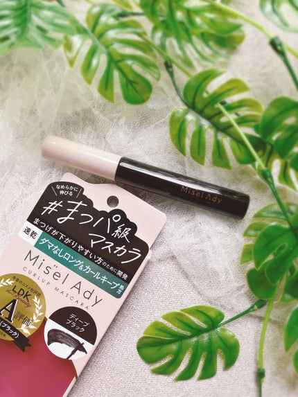 ミゼルエディ カールアップマスカラ ロング/ミゼルエディ/マスカラを使ったクチコミ(2枚目)