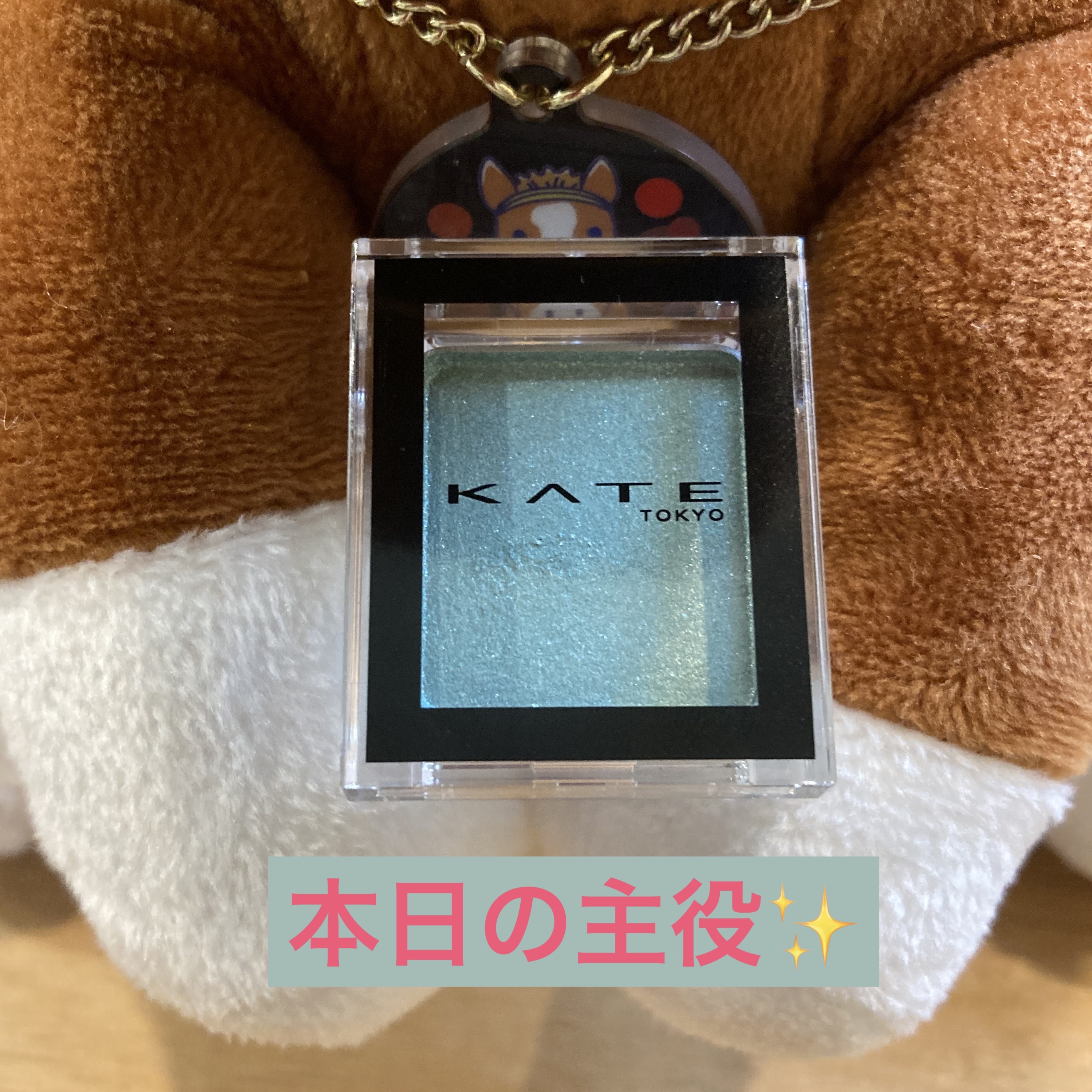 ケイト ザ アイカラー/KATE/単色アイシャドウを使ったクチコミ（1枚目）