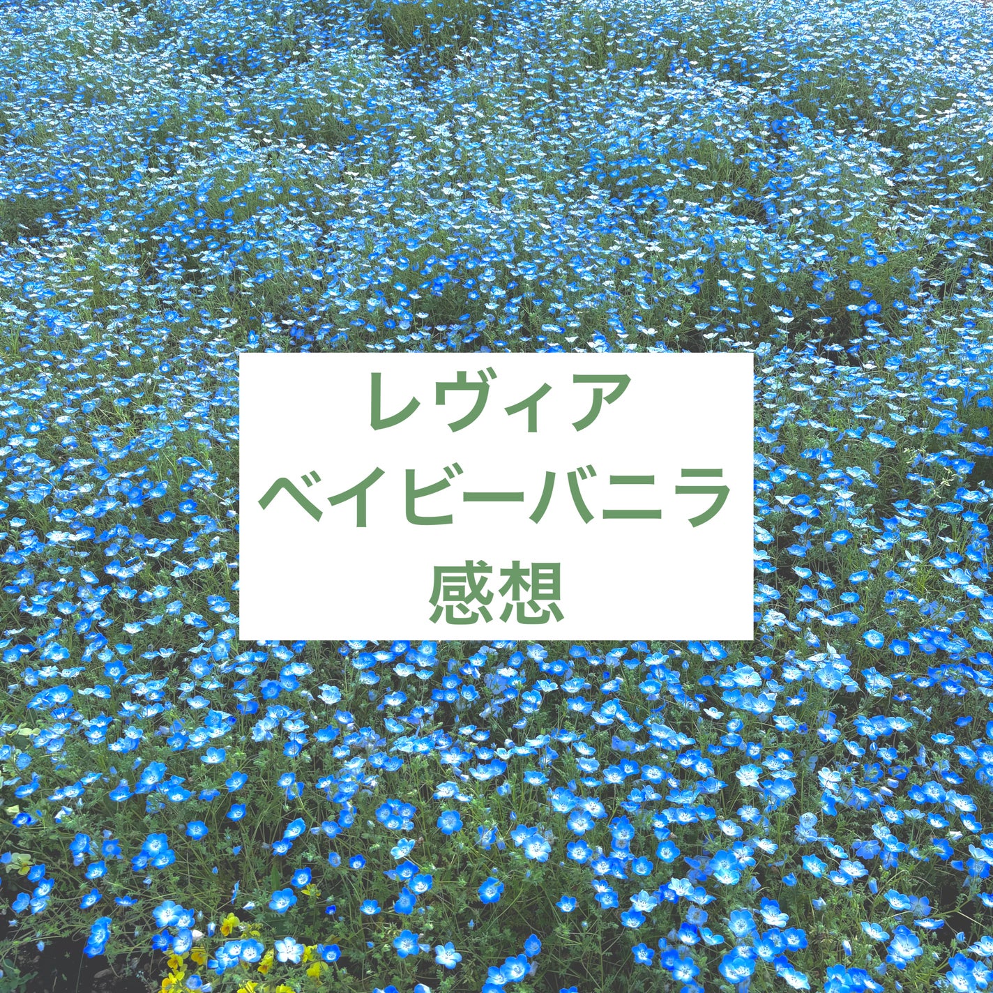 ReVIA 1day/ReVIA/ワンデー(1DAY)カラコンを使ったクチコミ(1枚目)