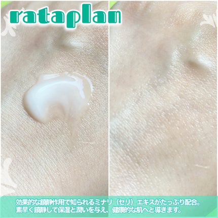 ウォーターパセリカーミングモイスチャークリーム /rataplan/フェイスクリームを使ったクチコミ(3枚目)