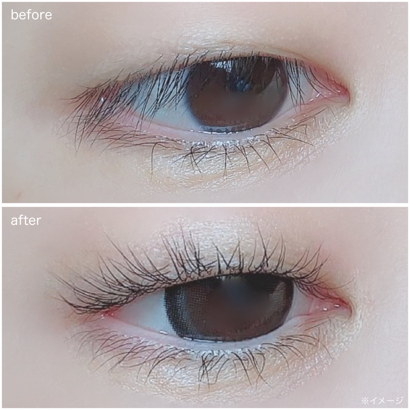イージーアイラッシュリフトキット/COSNORI/その他キットセットを使ったクチコミ(5枚目)