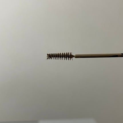 フィルム眉カラー/デジャヴュ/眉マスカラを使ったクチコミ(5枚目)