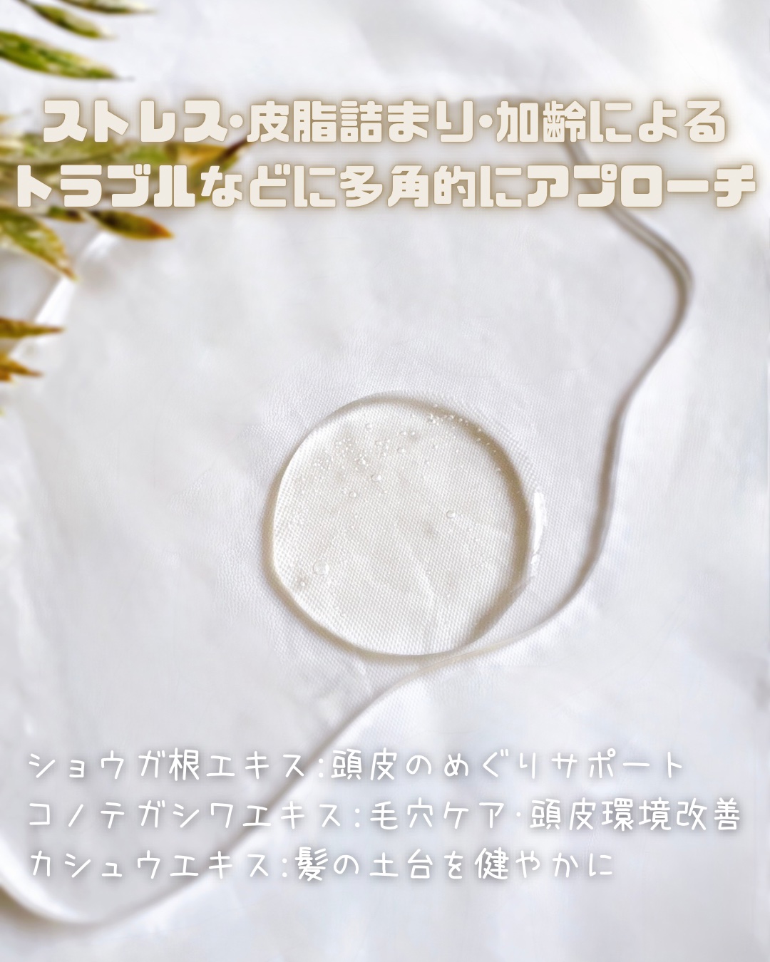 Seika 全 シャンプー/王子製薬/市販シャンプーを使ったクチコミ（3枚目）