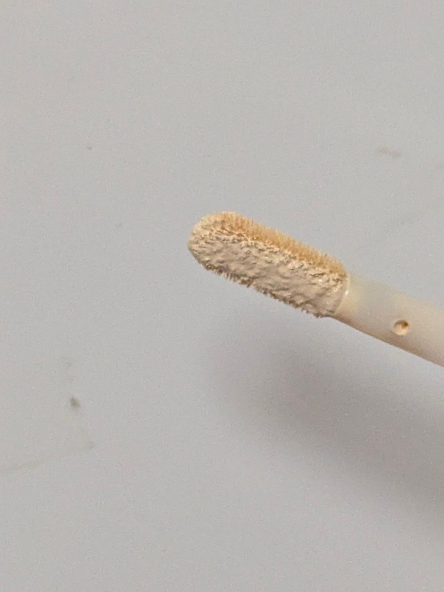 12hフルカバレッジ コンシーラー /SHEGLAM/リキッドコンシーラーを使ったクチコミ(3枚目)