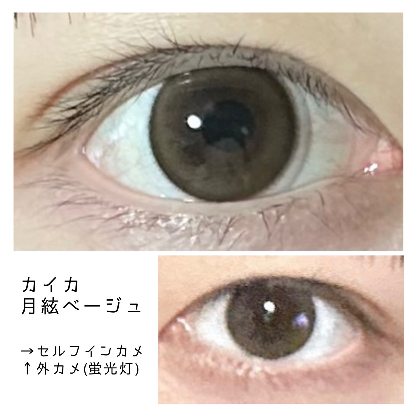 Kaica 1day/Kaica/ワンデー(1DAY)カラコンを使ったクチコミ(1枚目)