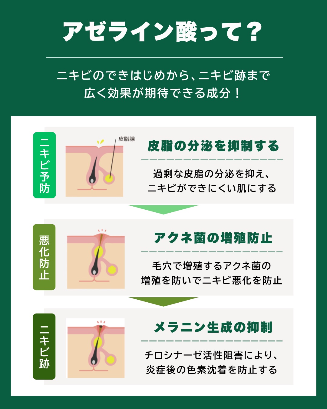 ダーマセプトRX　AZAセラム/ダーマセプトRX/美容液を使ったクチコミ（2枚目）