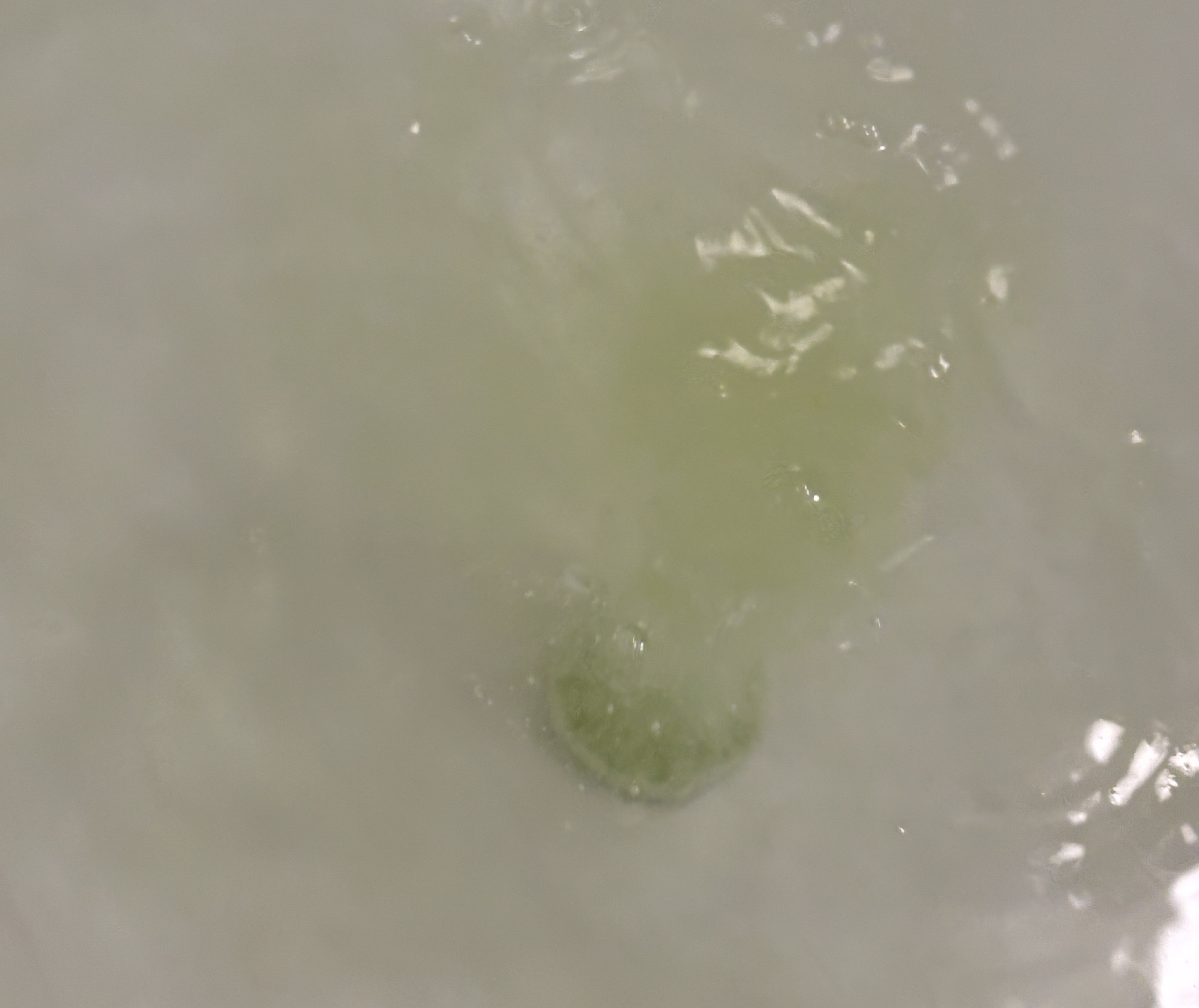 さっぱり炭酸湯 こだわりレモン/温泡/炭酸系入浴剤を使ったクチコミ（3枚目）