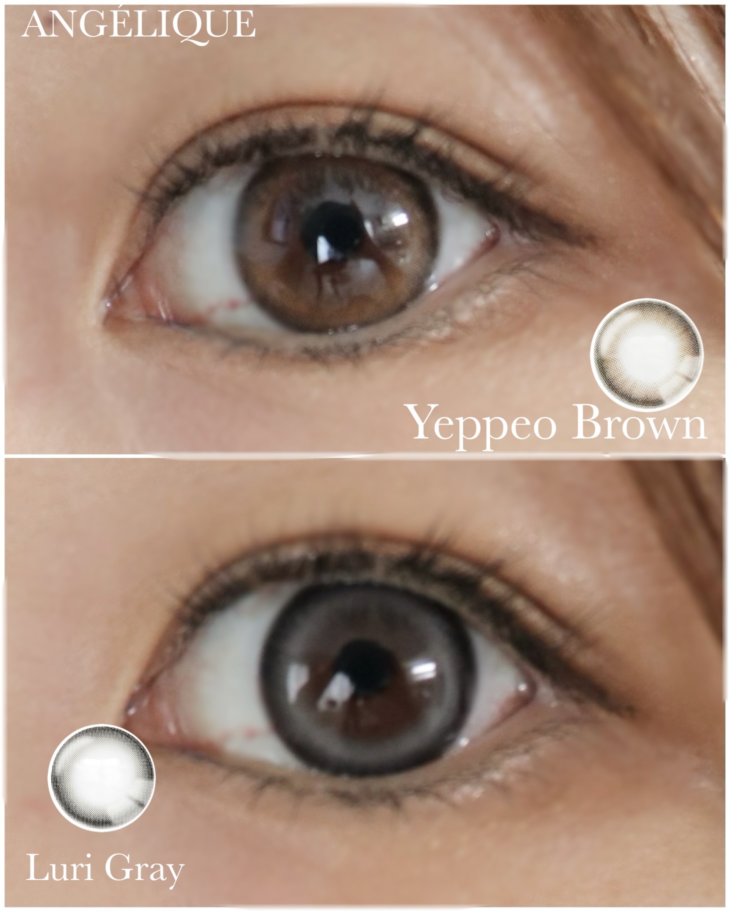 ANGÉLIQUE 1day/ANGÉLIQUE/ワンデー（１DAY）カラコンを使ったクチコミ（2枚目）