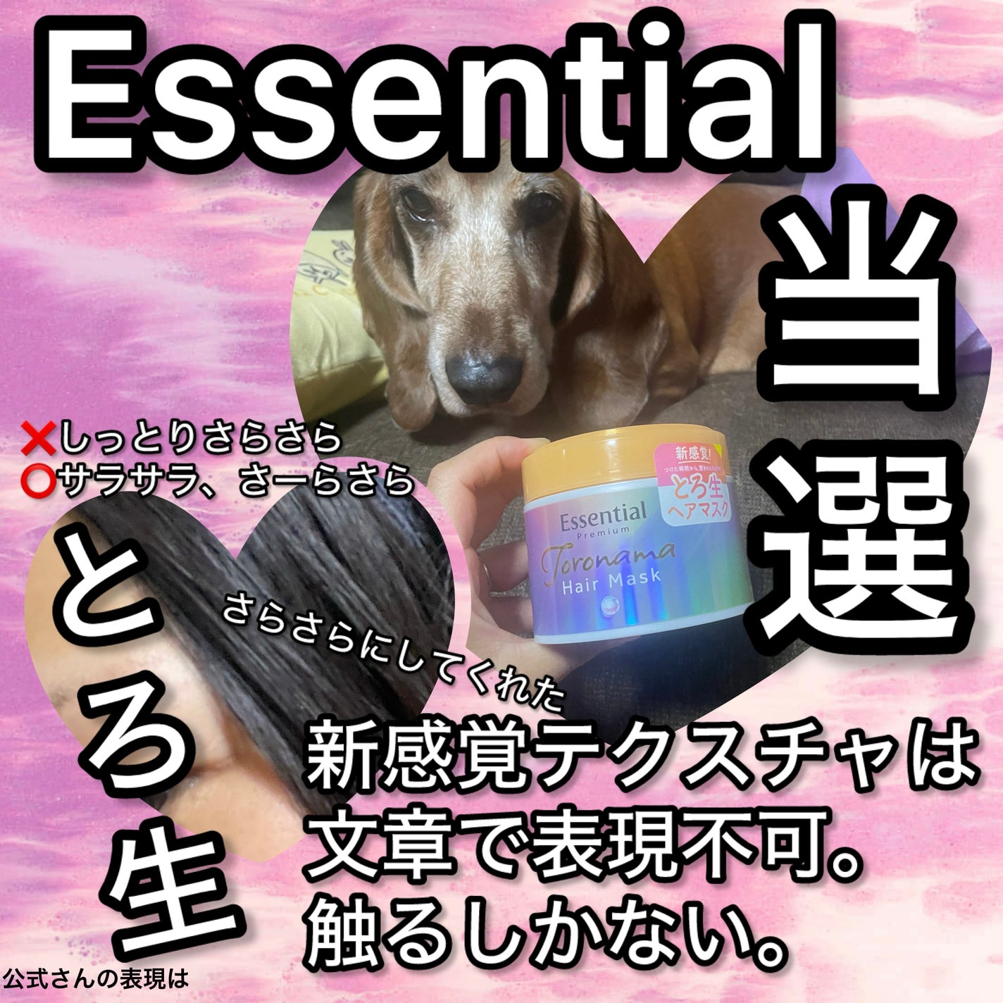 ãšãã»ã³ã·ã£ã«ãã¬ãã¢ã  ãšãçãã¢ãã¹ã¯/ãšãã»ã³ã·ã£ã«/ãã¢ãã¹ã¯ã»ãã¢ããã¯ã䜿ã£ãã¯ãã³ãïŒ1æç®ïŒ