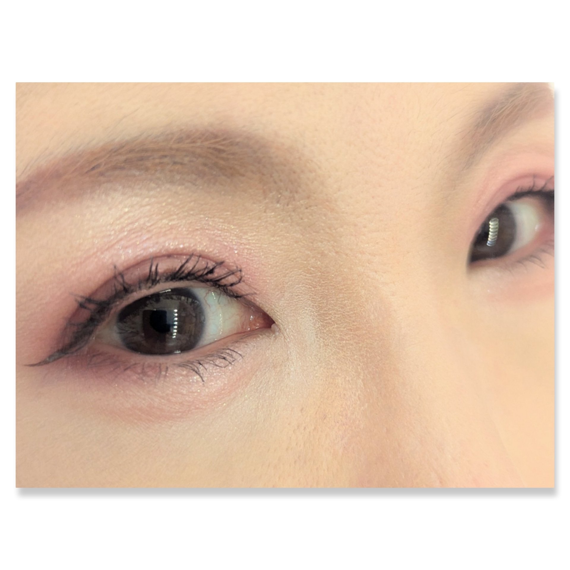 フェイスカラーパレット/チャコット・コスメティクス/アイシャドウパレットを使ったクチコミ（2枚目）