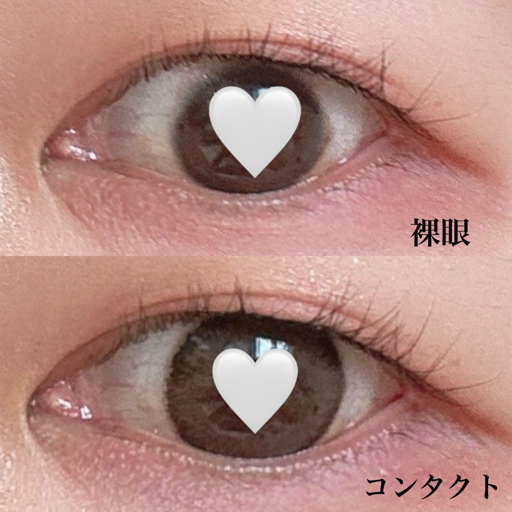 エバーカラーマンスリー アプリコットブラウン/エバーカラー/１ヶ月（１MONTH）カラコンを使ったクチコミ（2枚目）