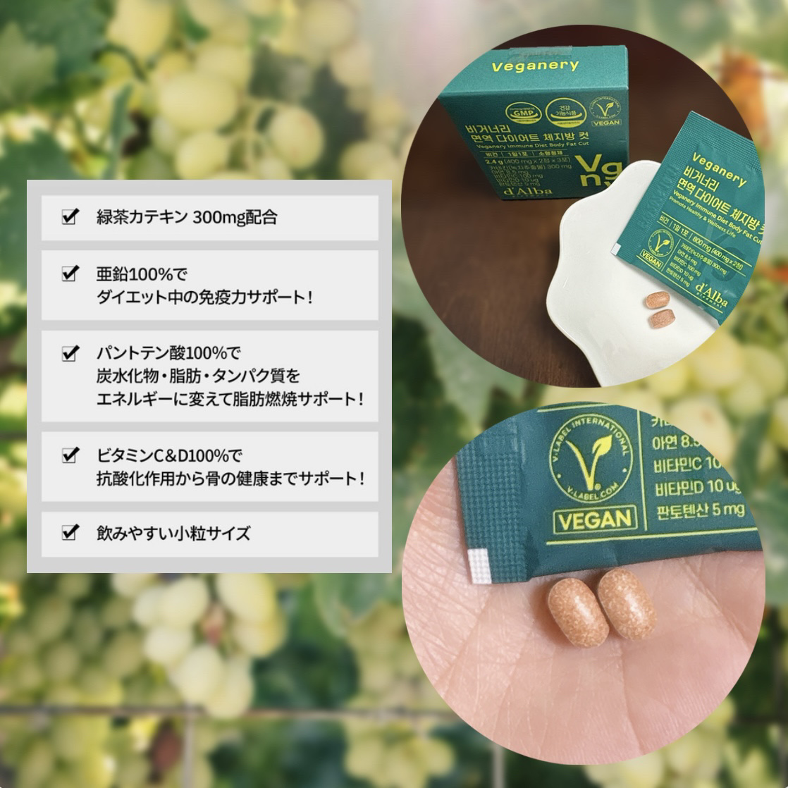 ヴィーガナリー免疫ダイエット 体脂肪カット (シャインマスカット味)/ダルバ/美容サプリメントを使ったクチコミ（2枚目）