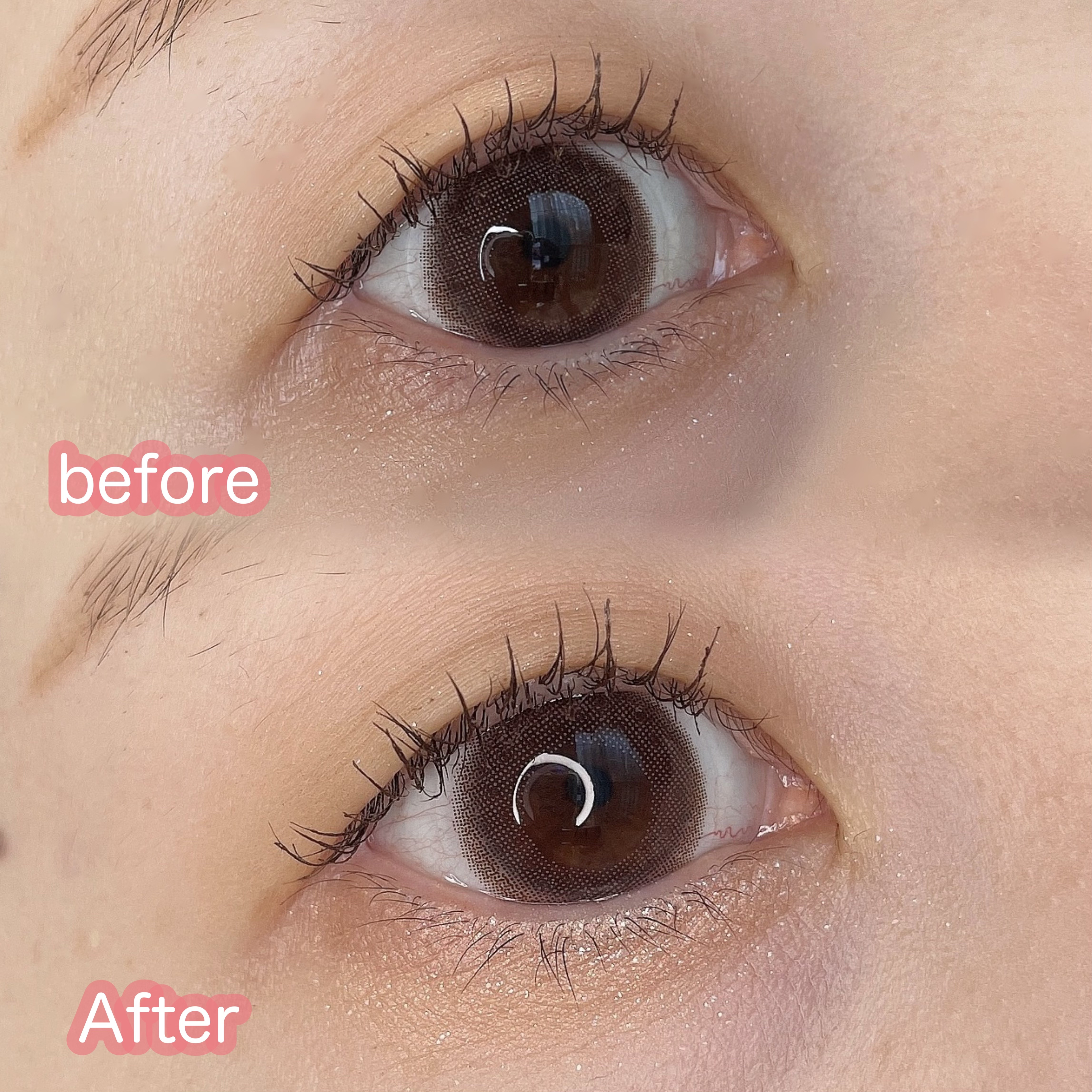 ぷくぷく涙袋パレット/MilleFée/アイシャドウパレットを使ったクチコミ（3枚目）