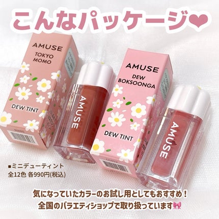 デューティント/AMUSE/リップティントを使ったクチコミ(6枚目)