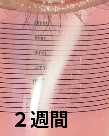 アイラッシュセラム100EX/COSNORI/まつげ美容液を使ったクチコミ(6枚目)