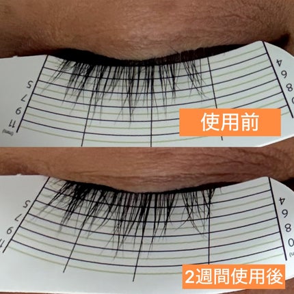 アーニストアイラッシュセラム/BENTON/まつげ美容液を使ったクチコミ(4枚目)