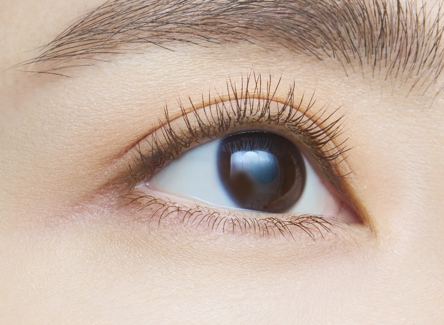 「塗るつけまつげ」自まつげ際立てタイプ グレージュブラウン（数量限定色）