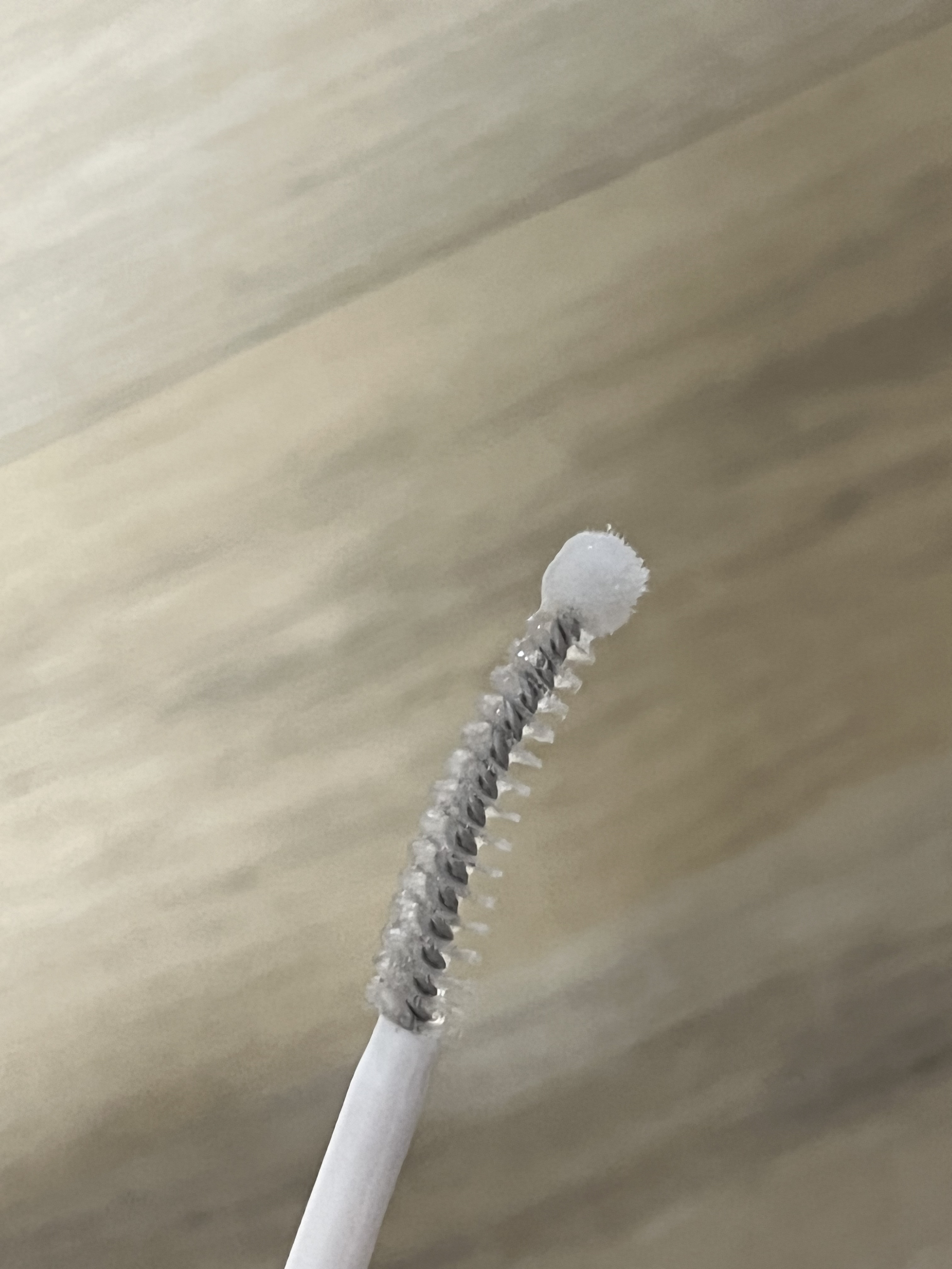 アーニストアイラッシュセラム/BENTON/まつげ美容液を使ったクチコミ（2枚目）