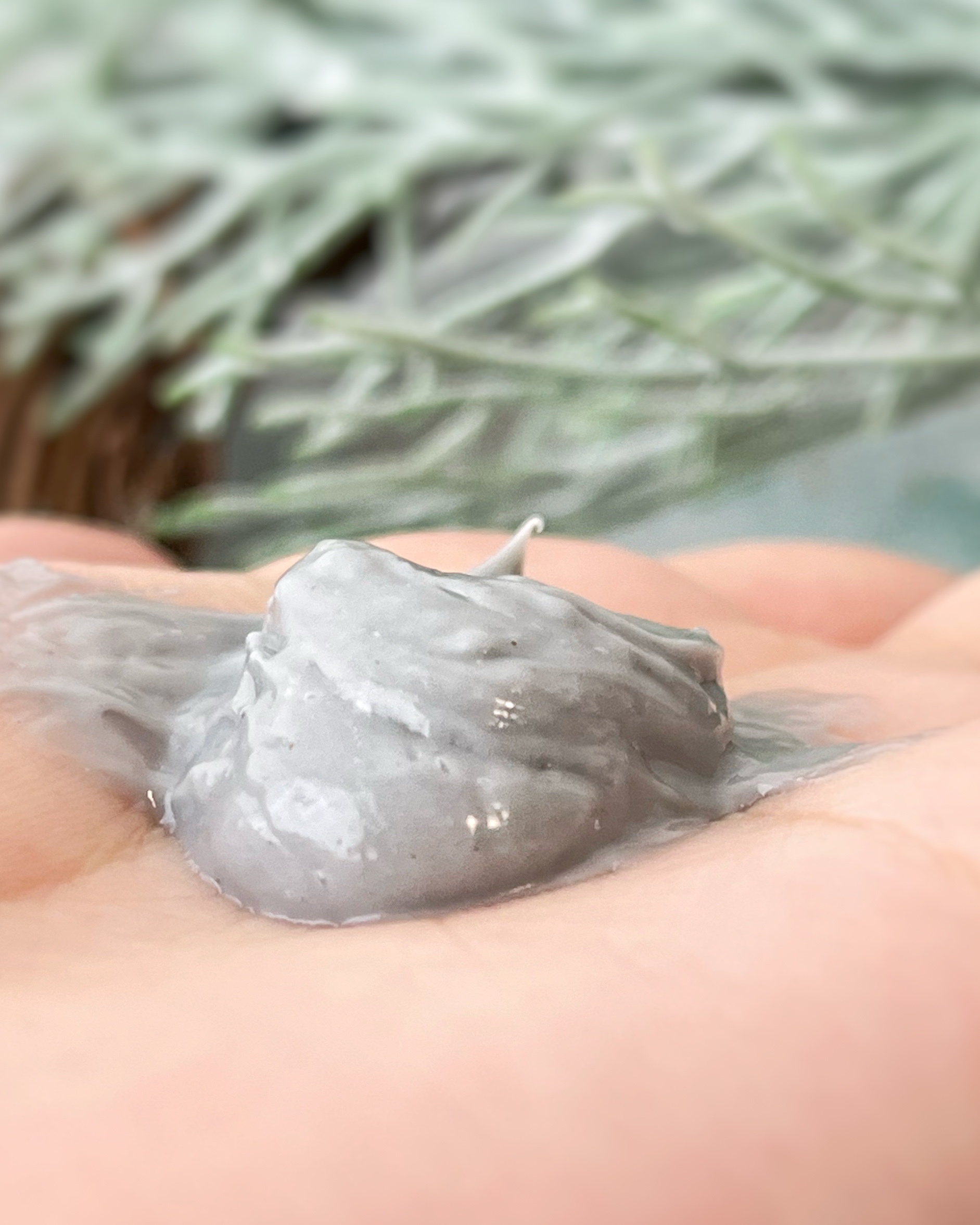 ローズマリー スカルプクレンジング/WELEDA/頭皮クレンジングを使ったクチコミ（2枚目）