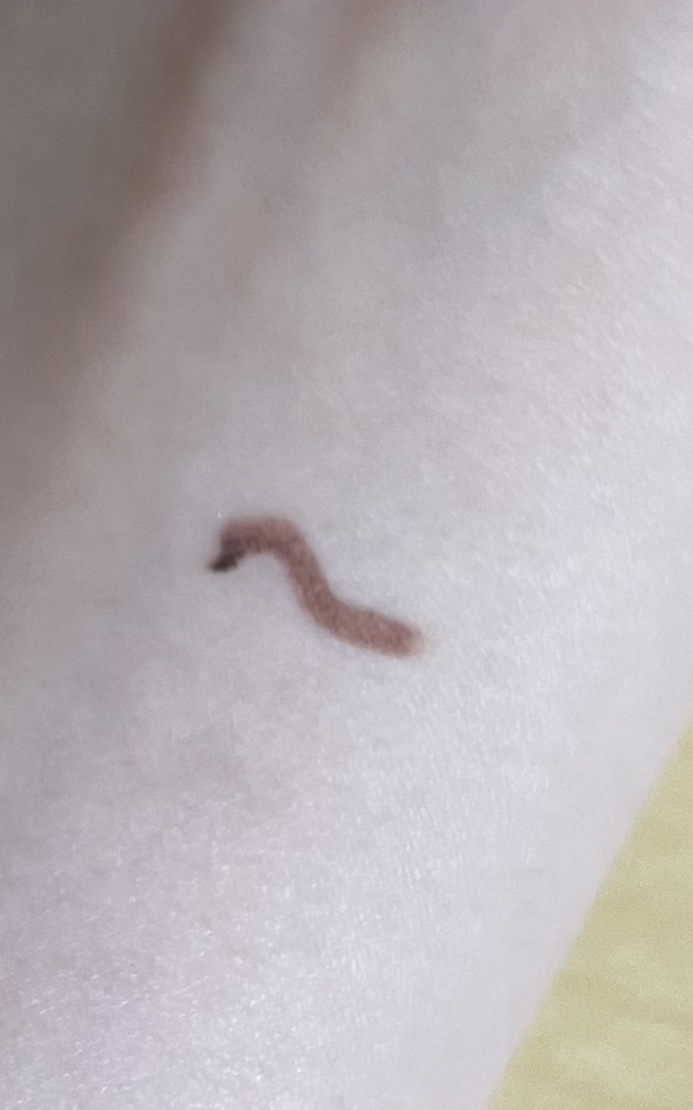 クリーミータッチライナー/キャンメイク/ジェルアイライナーを使ったクチコミ（3枚目）