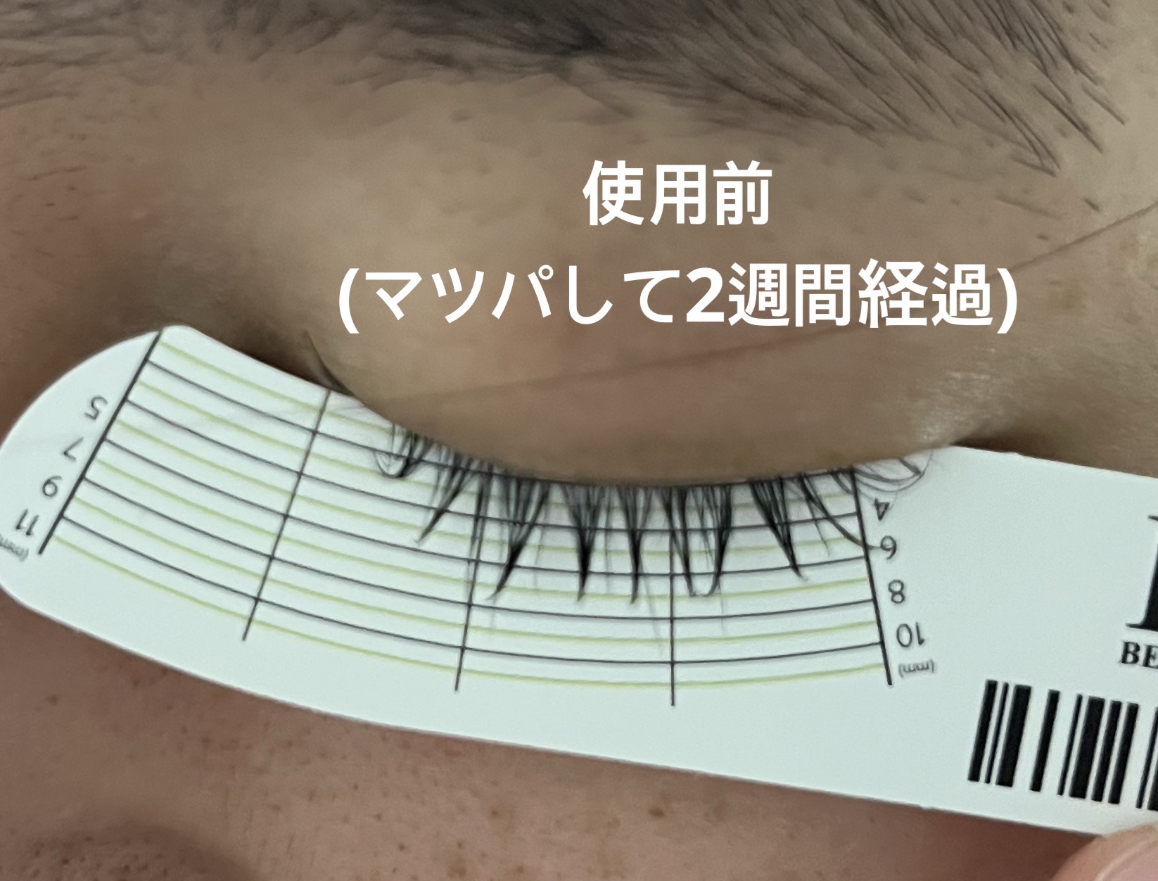 アーニストアイラッシュセラム/BENTON/まつげ美容液を使ったクチコミ（3枚目）
