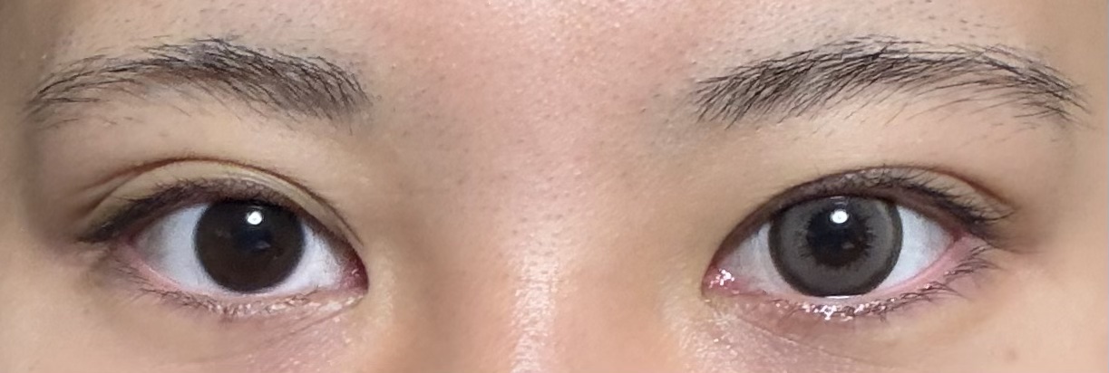 a-eye 1day ノヴァグレージュ/Refrear/ワンデー（１DAY）カラコンを使ったクチコミ（2枚目）