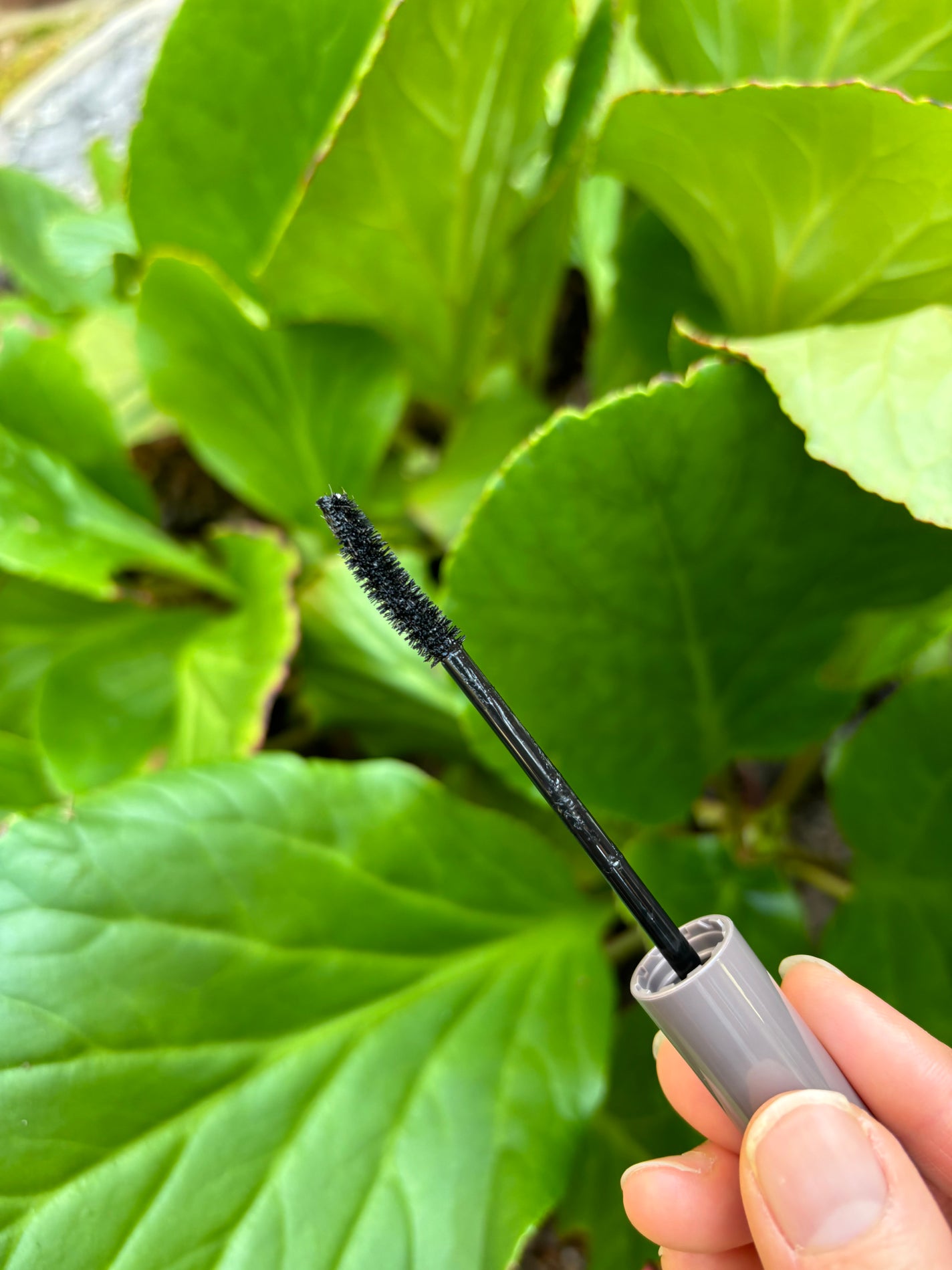 ピメル うそつきマスカラ/pdc/マスカラを使ったクチコミ(3枚目)