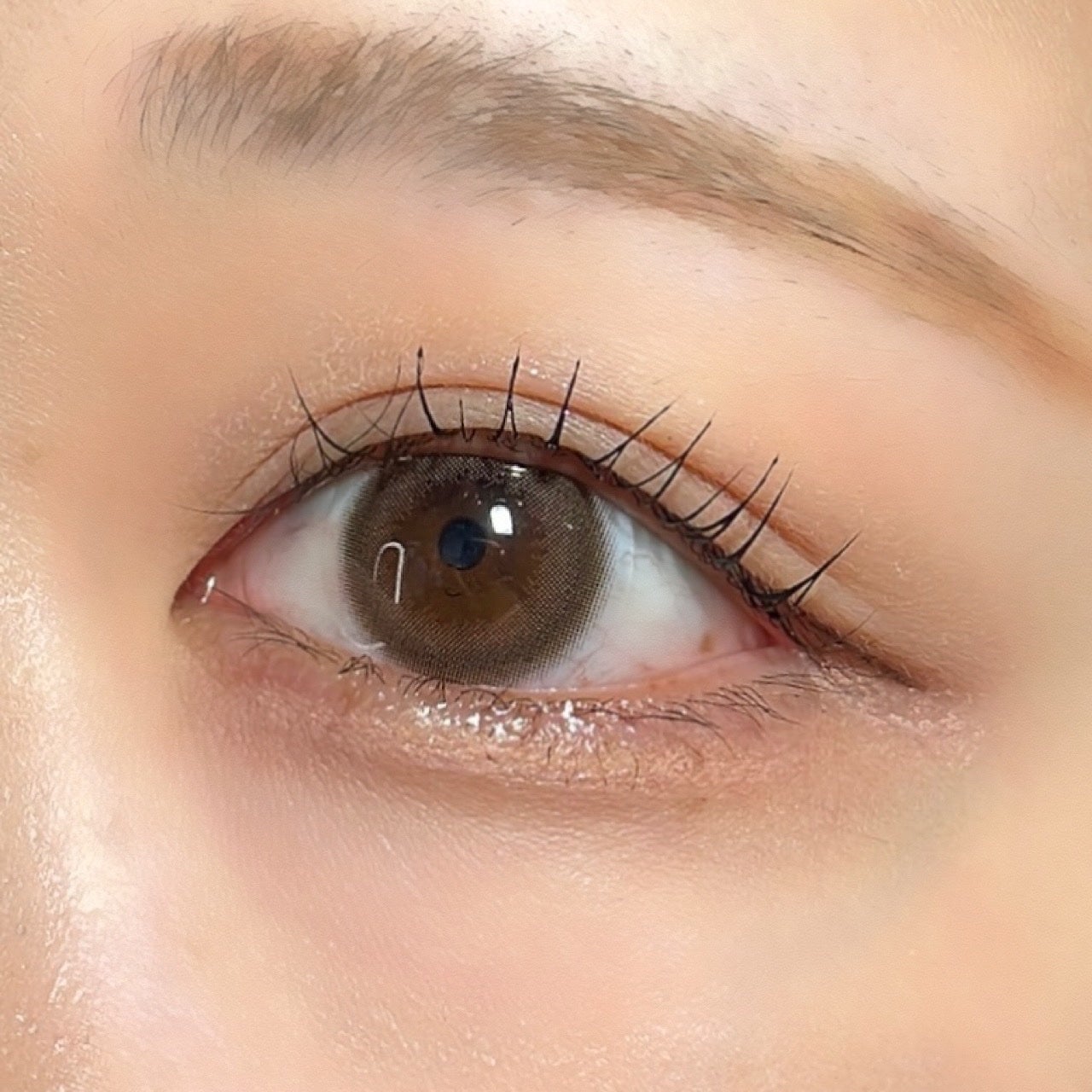 TOPARDS 1month/TOPARDS/1ヶ月(1MONTH)カラコンを使ったクチコミ(5枚目)