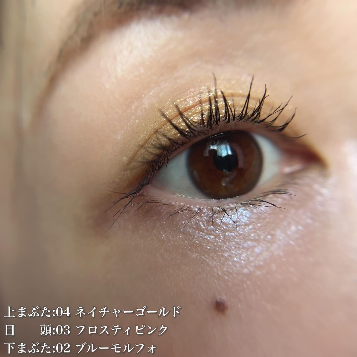 ヴァティック アイズ/Celvoke/単色アイシャドウを使ったクチコミ(8枚目)