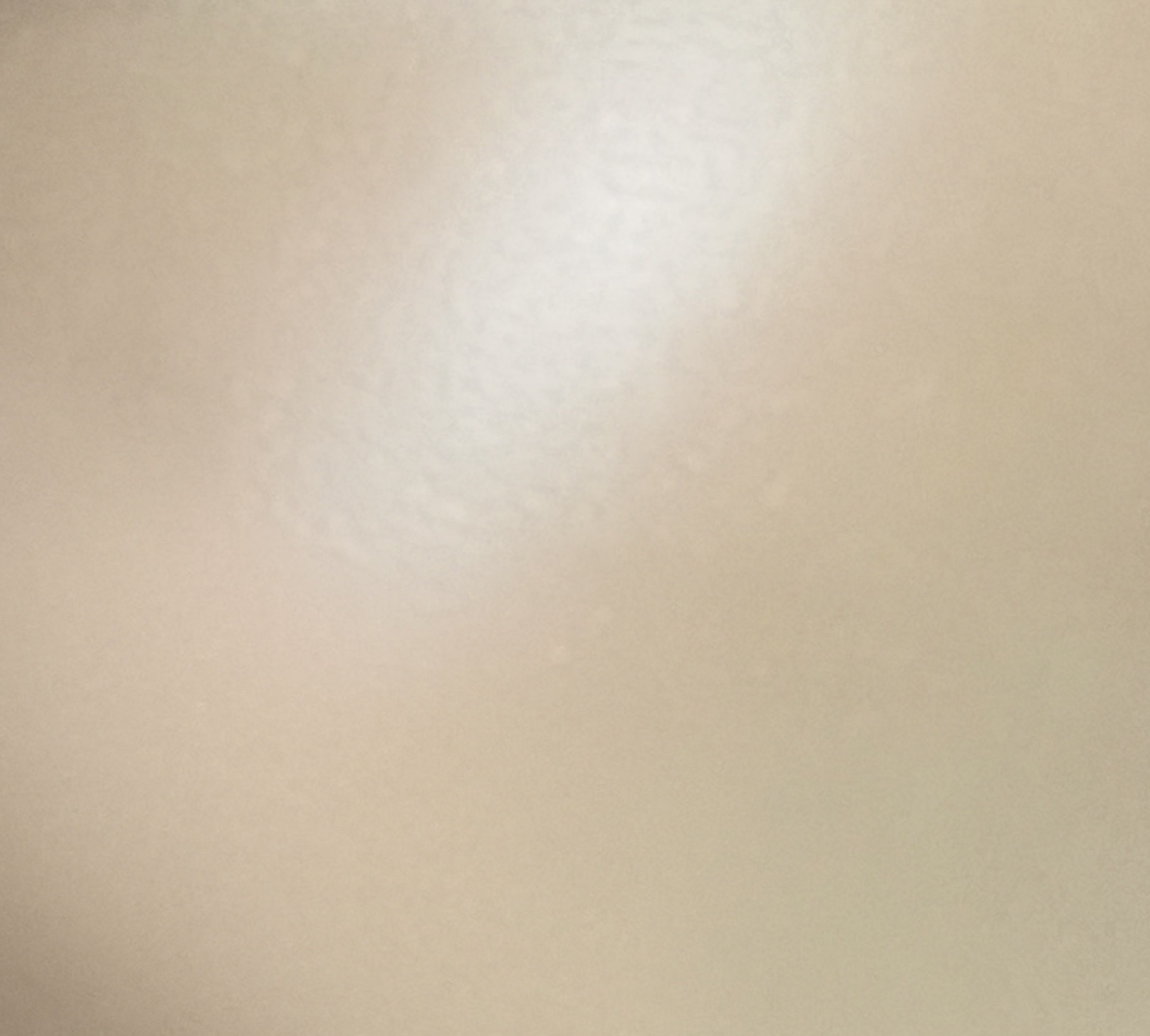 オールインワン　ビューティーパクト/アネッサ/クリーム・エマルジョンファンデーションを使ったクチコミ（3枚目）