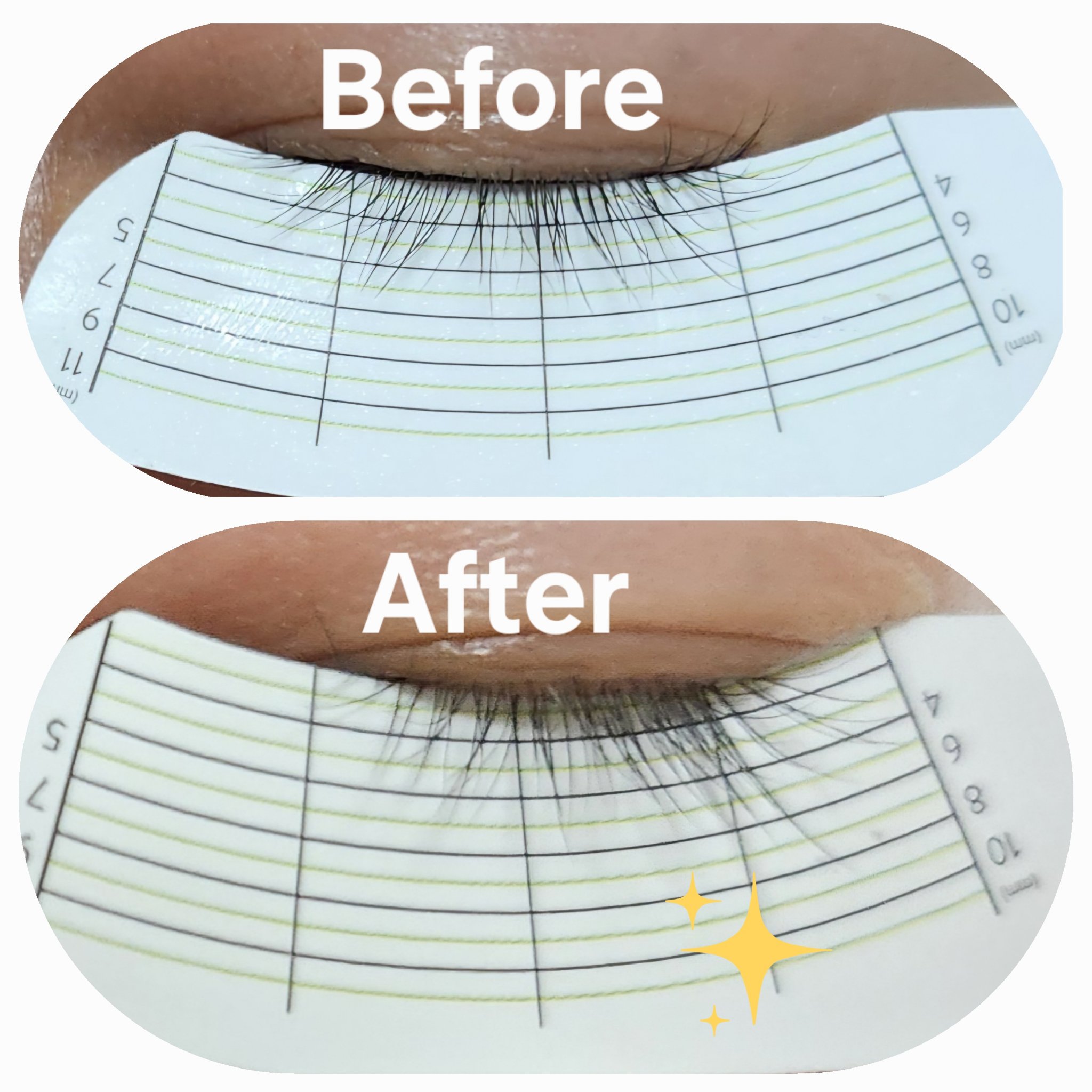 アーニストアイラッシュセラム/BENTON/まつげ美容液を使ったクチコミ（3枚目）