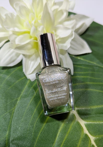 カラフルネイルズ/キャンメイク/マニキュアを使ったクチコミ(1枚目)