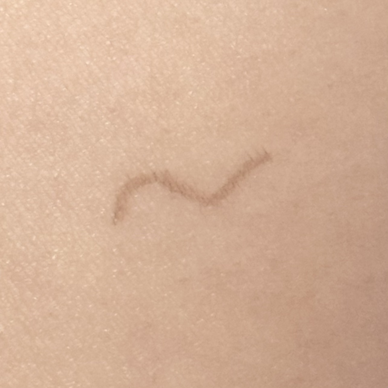 ラッシュグランディール キープアイブロウのクチコミ「┈┈┈┈┈┈┈┈┈┈

Lash Grandir
キープアイブロウ（眉ティント）ブラウン

┈.....」（3枚目）