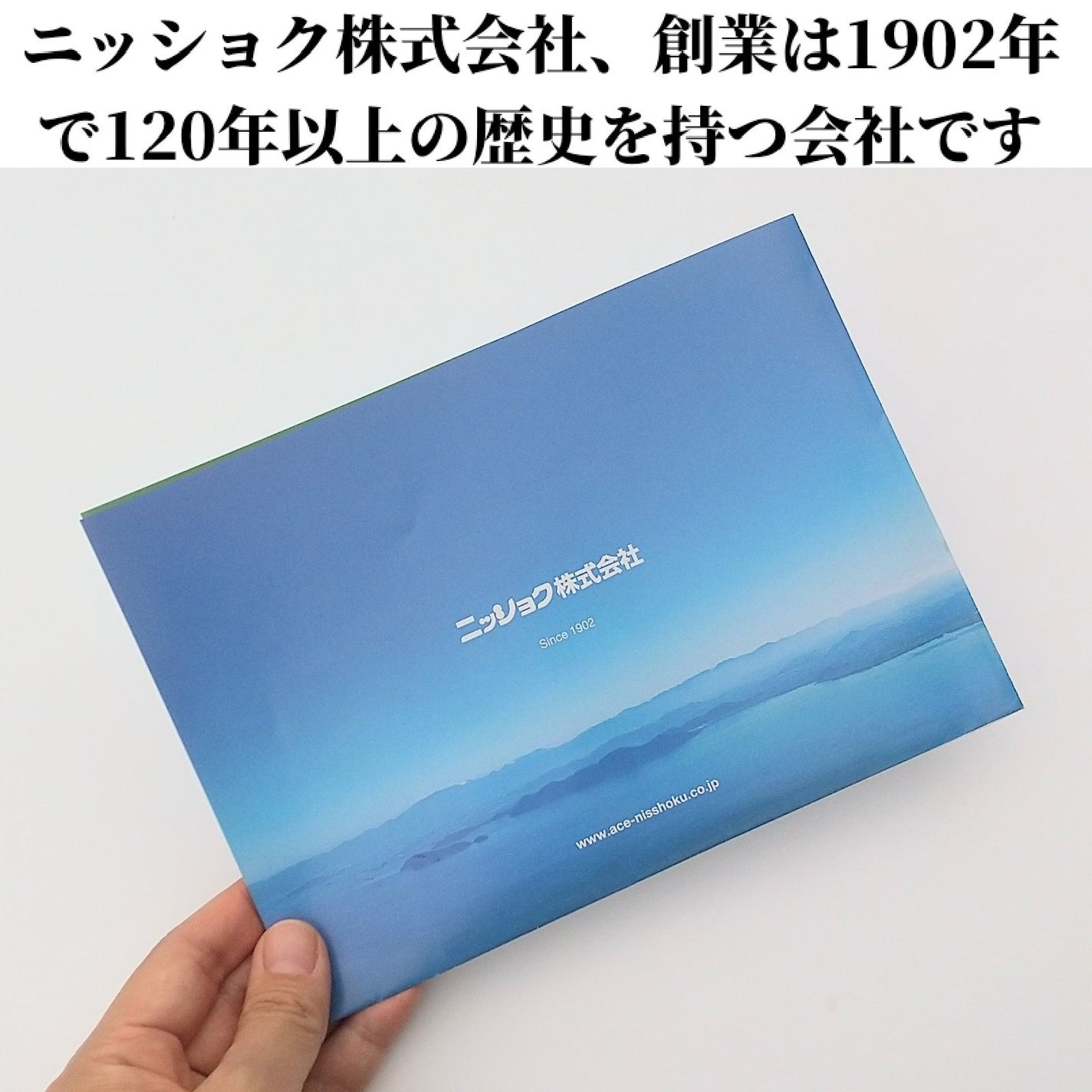 ぎゅっとフルーツ青汁/ニッショク/青汁を使ったクチコミ(5枚目)