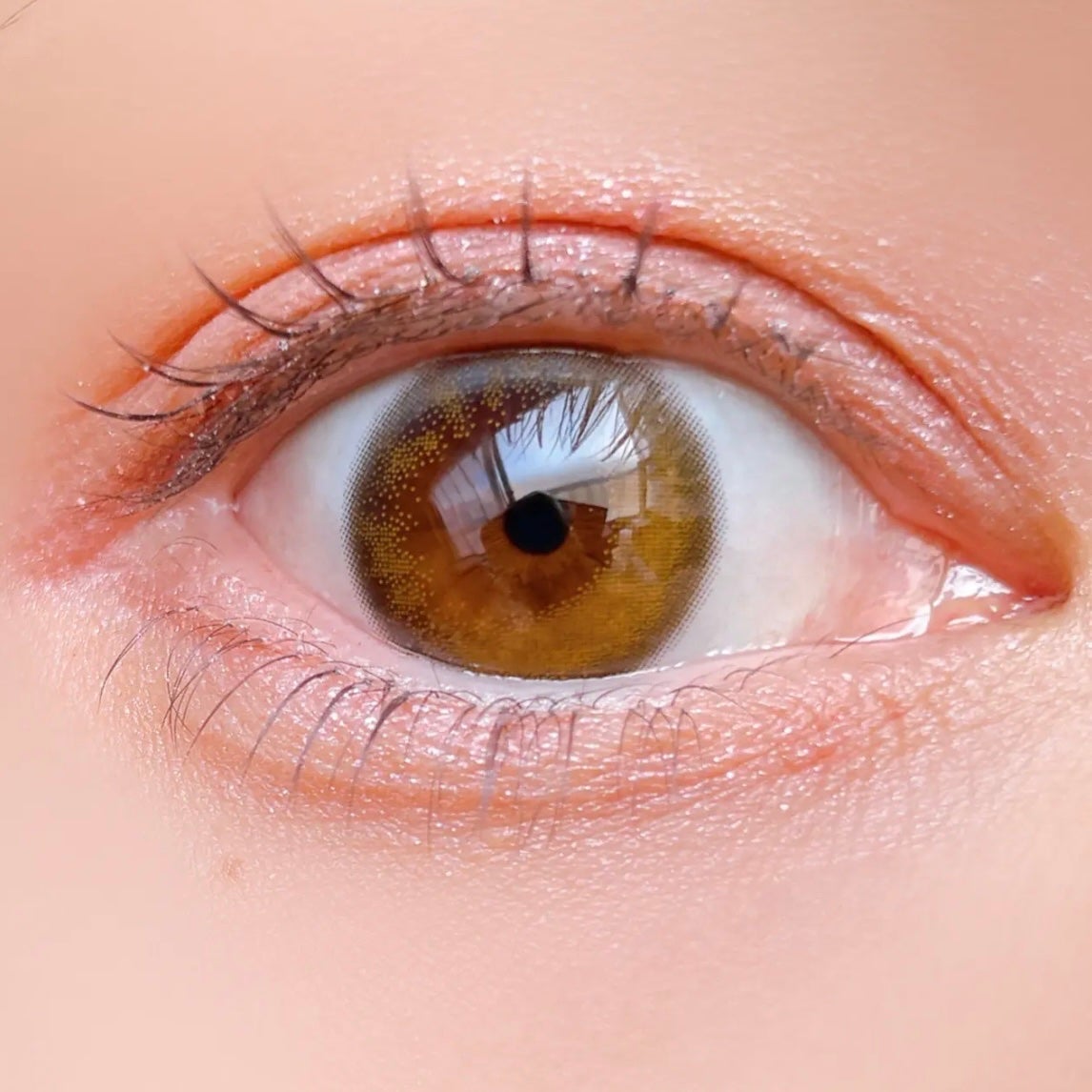 ベージュトーンアイシャドウ/CEZANNE/アイシャドウパレットを使ったクチコミ(4枚目)