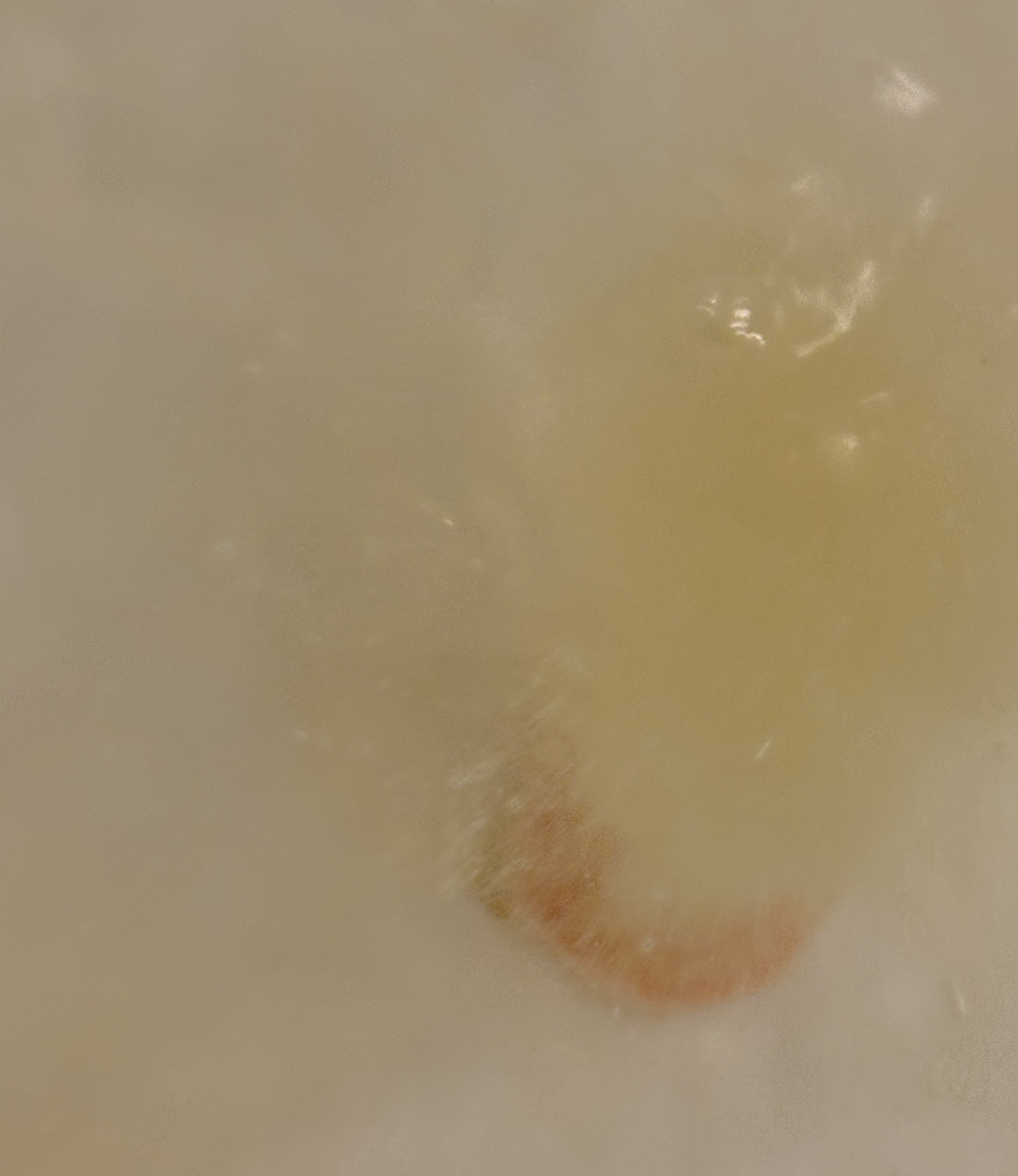 さっぱり炭酸湯 こだわりレモン/温泡/炭酸系入浴剤を使ったクチコミ（3枚目）