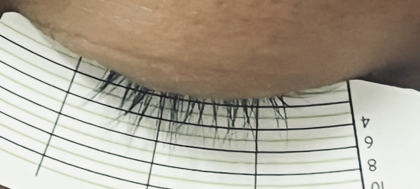 アーニストアイラッシュセラム/BENTON/まつげ美容液を使ったクチコミ（3枚目）