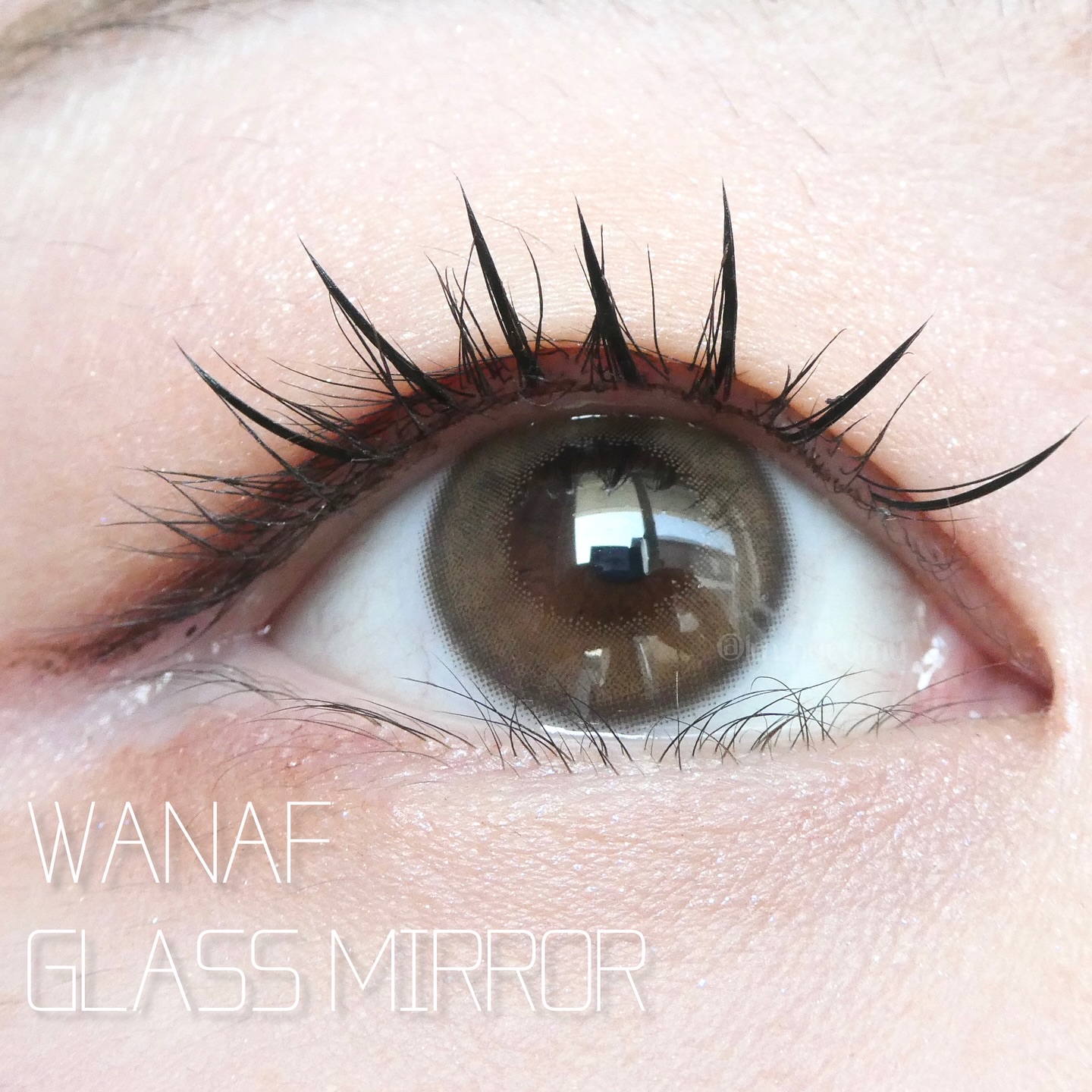 WANAF 1day/WANAF/ワンデー（１DAY）カラコンを使ったクチコミ（1枚目）