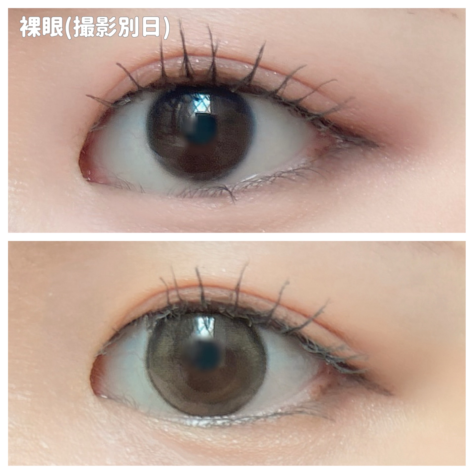 feliamo 1day/feliamo/ワンデー（１DAY）カラコンを使ったクチコミ（3枚目）