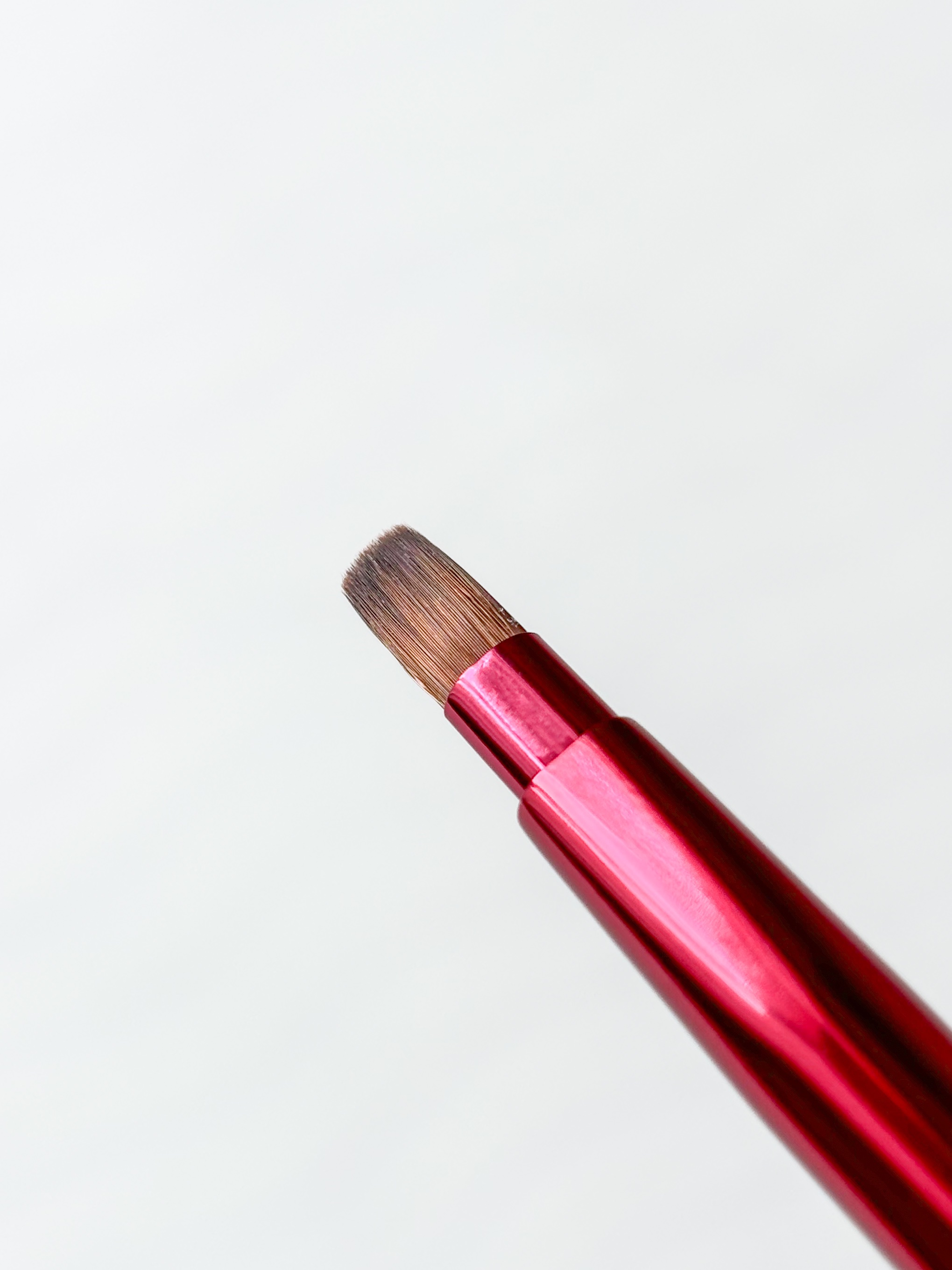 リップブラシ（レッド）Ｎ 407/SHISEIDO/メイクブラシを使ったクチコミ（3枚目）