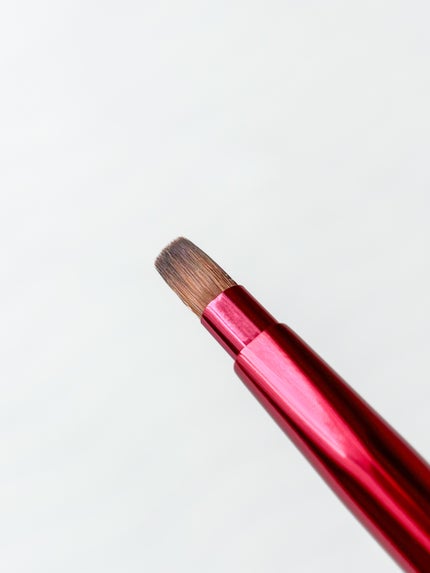 リップブラシ(レッド)N 407/SHISEIDO/メイクブラシを使ったクチコミ(3枚目)