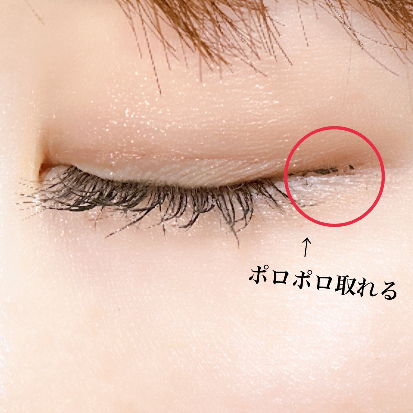 ウォンジョンヨ メイクアップトップコート/Wonjungyo/アイブロウコートを使ったクチコミ(5枚目)