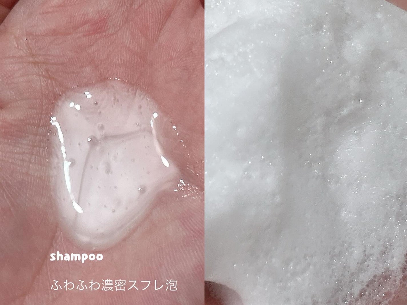 ãšãã»ã³ã·ã£ã«ãã¬ãã¢ã ããªã¢ã·ã£ã³ããŒã»ã³ã³ãã£ã·ã§ã㌠ã¹ããŒã¯ã«ã¢ã€ã¹ã/ãšãã»ã³ã·ã£ã«/åžè²©ã·ã£ã³ããŒã䜿ã£ãã¯ãã³ãïŒ2æç®ïŒ