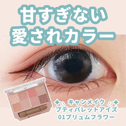 プティパレットアイズ/キャンメイク/パウダーアイシャドウを使ったクチコミ(1枚目)