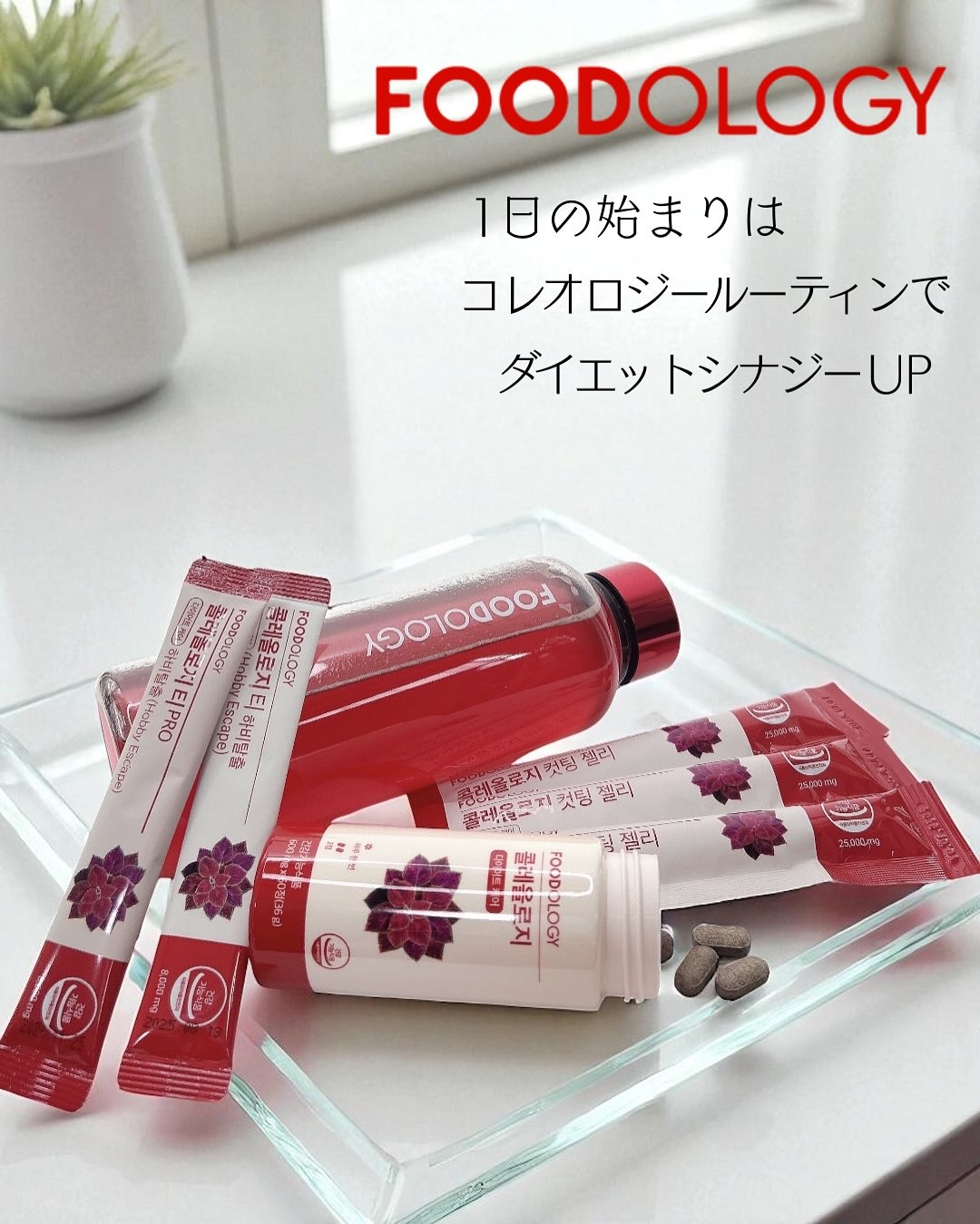 コレオロジーティー/FOODOLOGY/ドリンクを使ったクチコミ（1枚目）