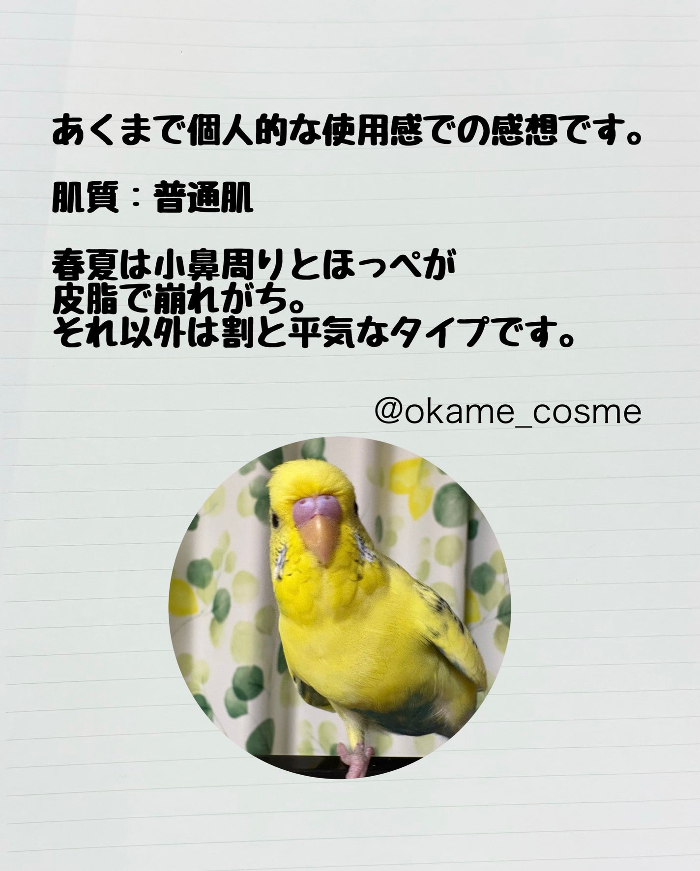 オイルリセット/MAKE COVER/プレストパウダーを使ったクチコミ(6枚目)